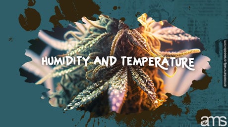 Temperature and Humidity Humidity and Temperature