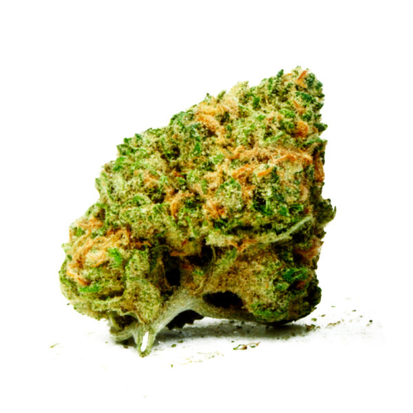 Grease Monkey Feminized Seeds - Image 2