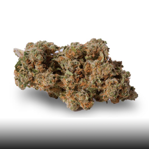 Durban Poison Feminized Seeds - Image 2