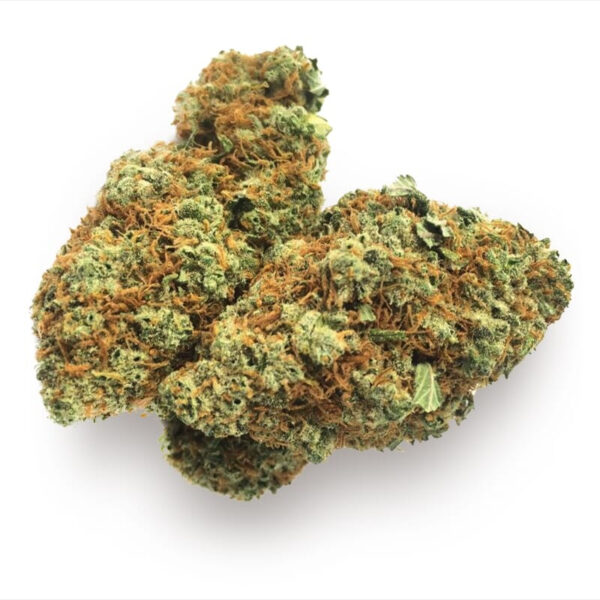 Skunk Supreme Feminized Seeds - Image 2
