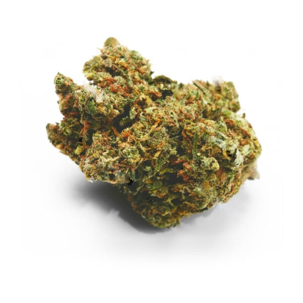 Bob Marley Regular Seeds - Image 2