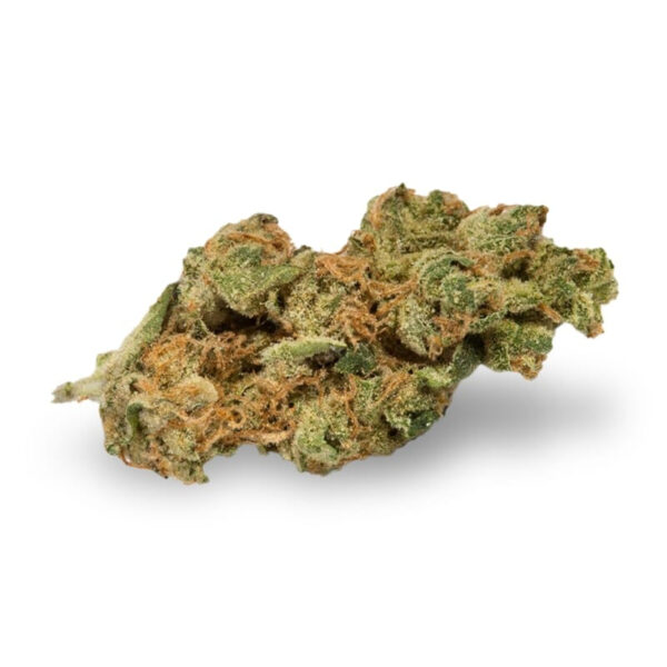New York Turbo Diesel Regular Seeds - Image 2