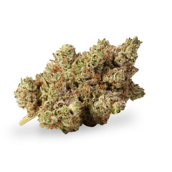 Number 14 Feminized Seeds - Image 2