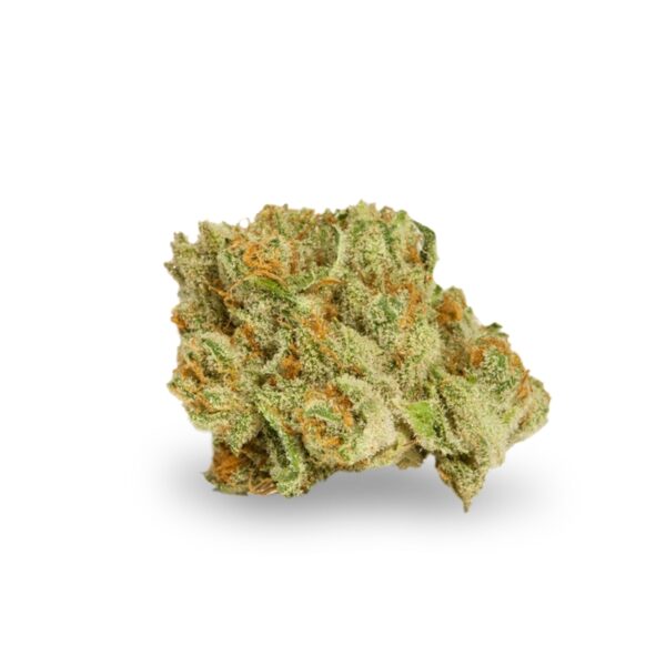 La Blanca Feminized Seeds - Image 2