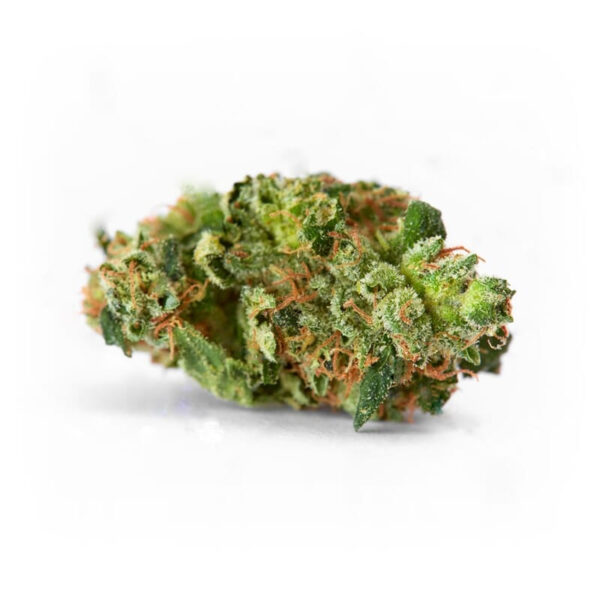 AK 47 XTRM ® Feminized Marijuana Seeds - Image 2