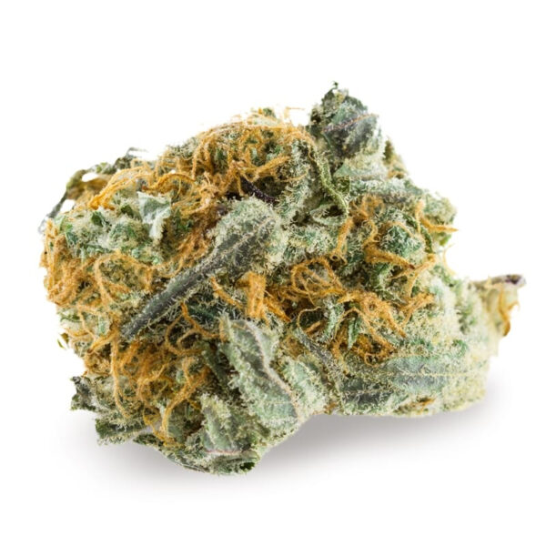 AMS Supreme Autoflower Seeds - Image 2