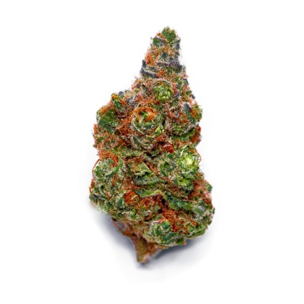 Aussie Blues ® Regular Seeds - Image 2