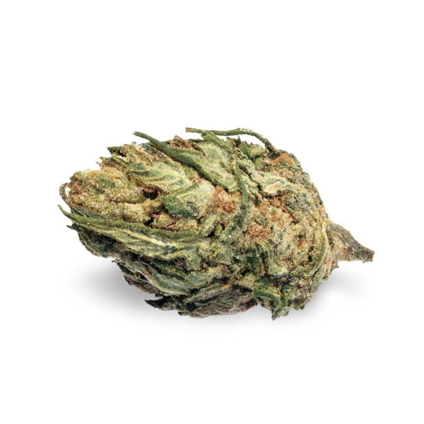 420 Carat Feminized Seeds - Image 2