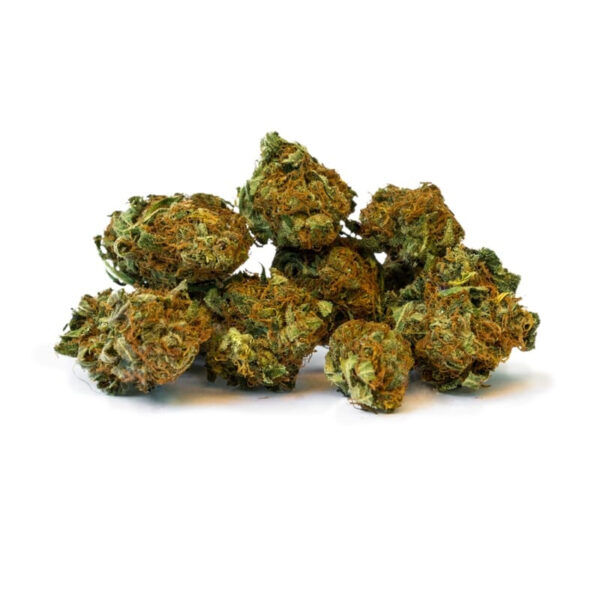 Afghan Regular Seeds - Image 2