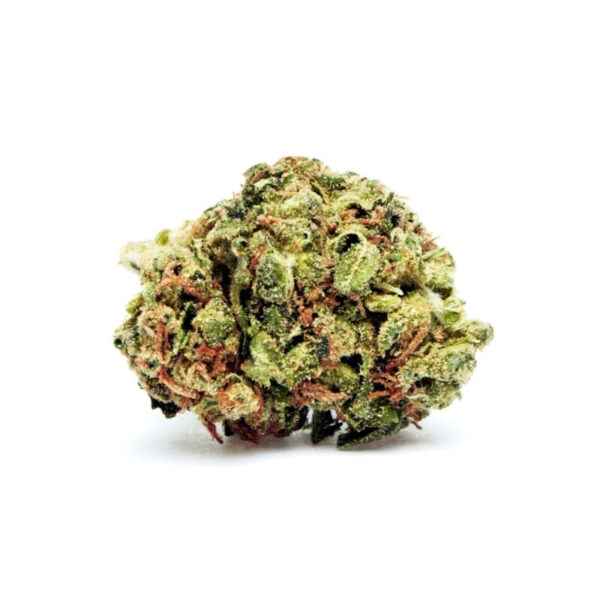 MOAB - Mother of All Buds ® Autoflower Seeds - Image 2