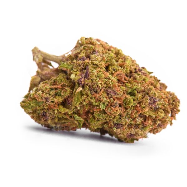 California Dream Feminized Seeds - Image 2