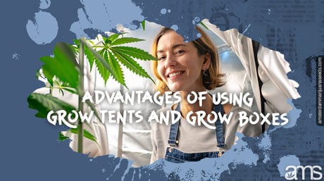 Woman in a grow test