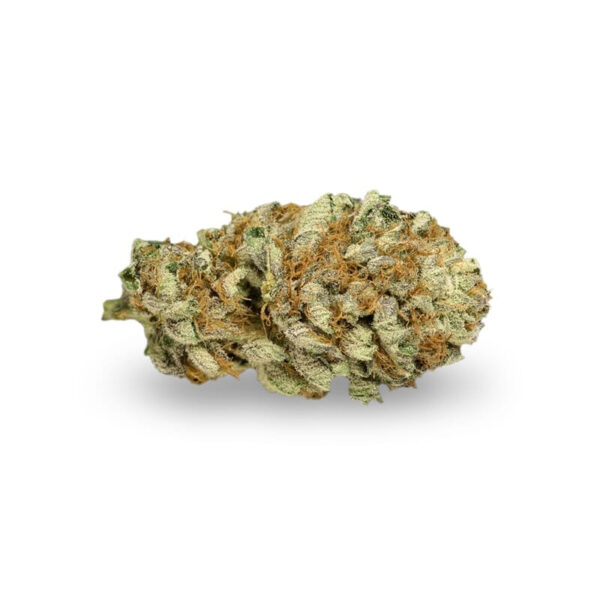 Master Kush Feminized Seeds - Image 2