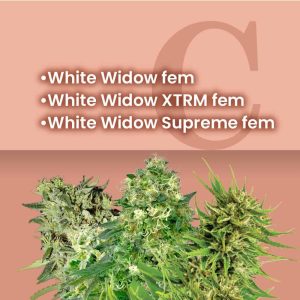 white_widow_combo_pack_3.jpg
