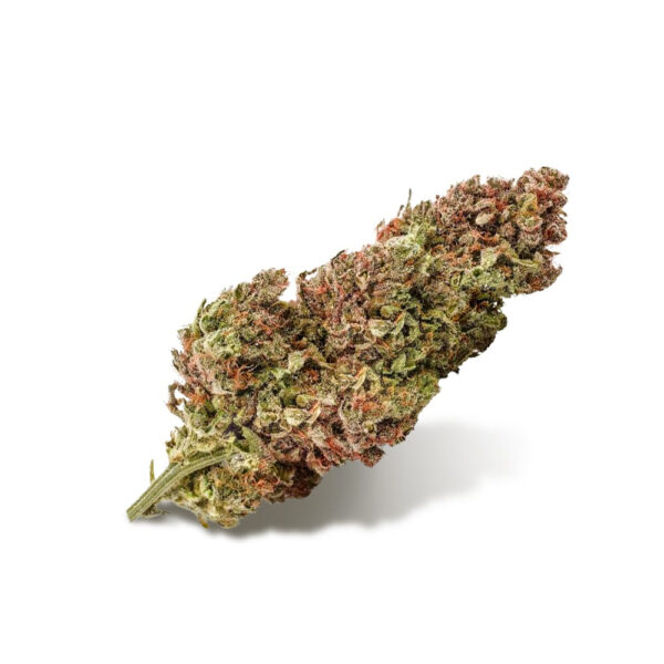 CBDoc ® Feminized Seeds - Image 2