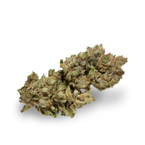 Habiba ® Autoflower Seeds - Image 3