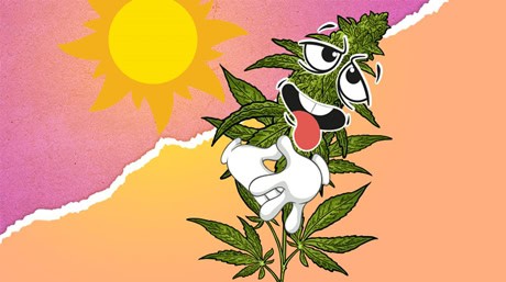 Thirsty Plant in the Sun