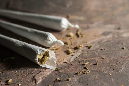 difference joints blunts spliffs