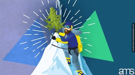 Kush mountain high top quality